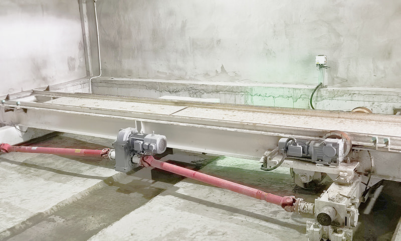 フェリーカーのグループ